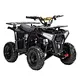 fastest electric four wheeler